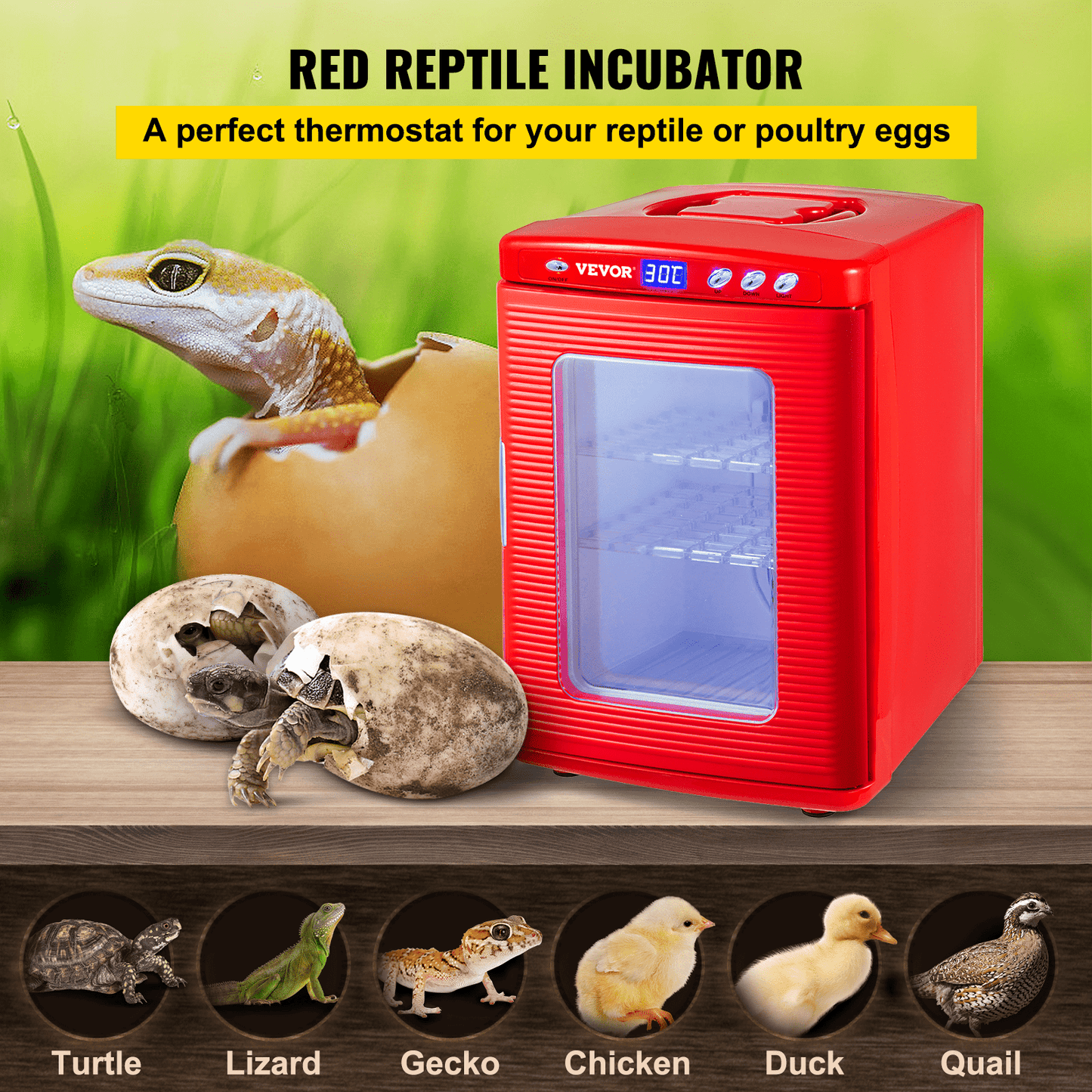 VEVOR Red Reptile Incubator 25L Scientific Lab Incubator Digital Incubator Cooling and Heating 5-60°C Reptile Egg Incubator 12V/110V Work for Small Reptiles